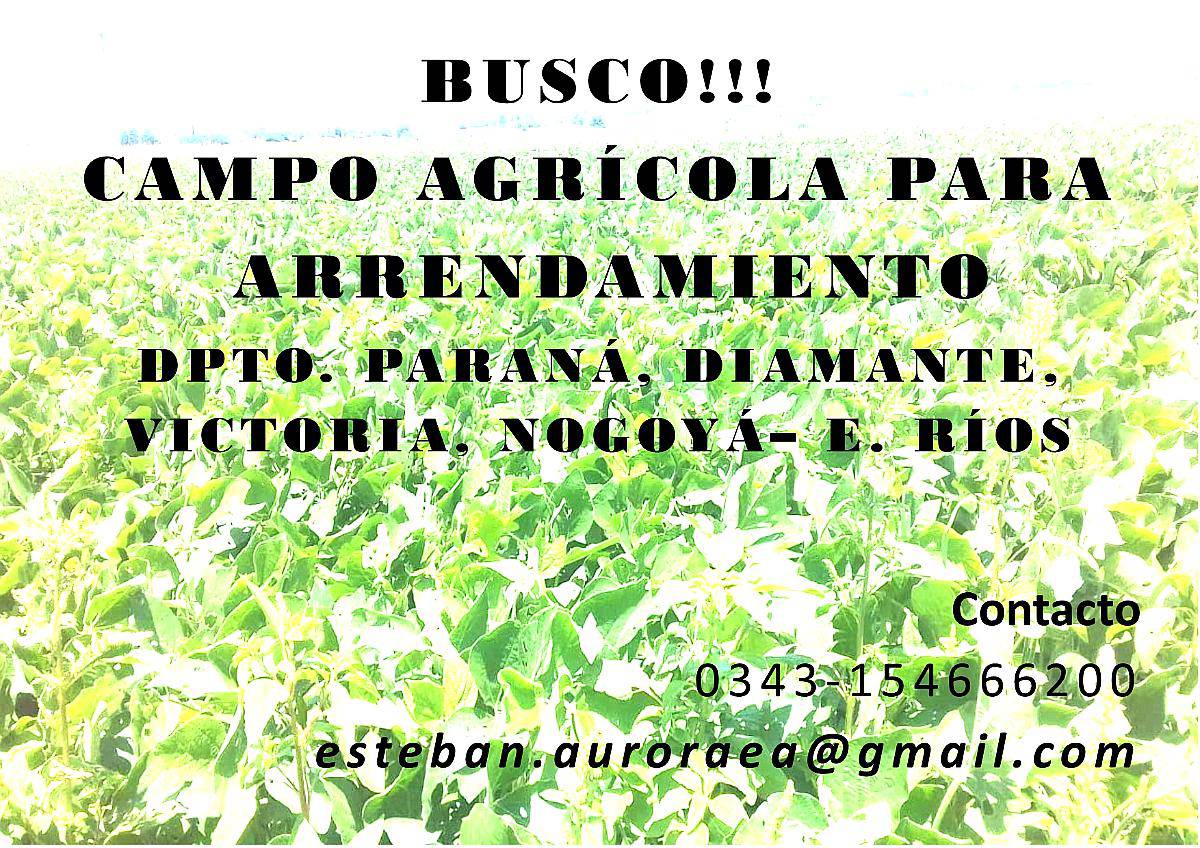 Busco Campo Agricola para Arrendamiento. 1 hectáreas. Agroads