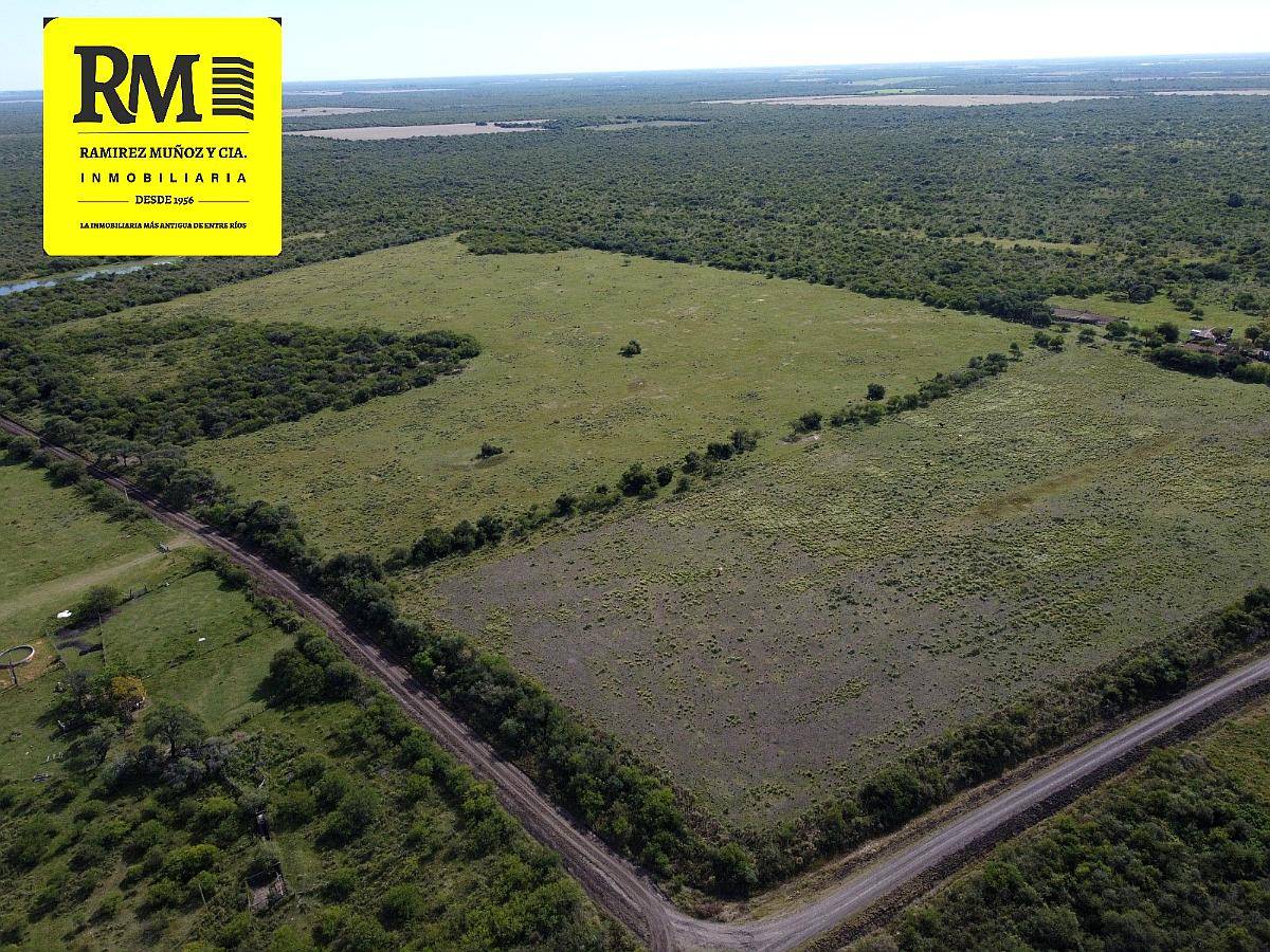 Oportunidad 594 Has Agrico/ganadera -mojones Dpto. Villaguay