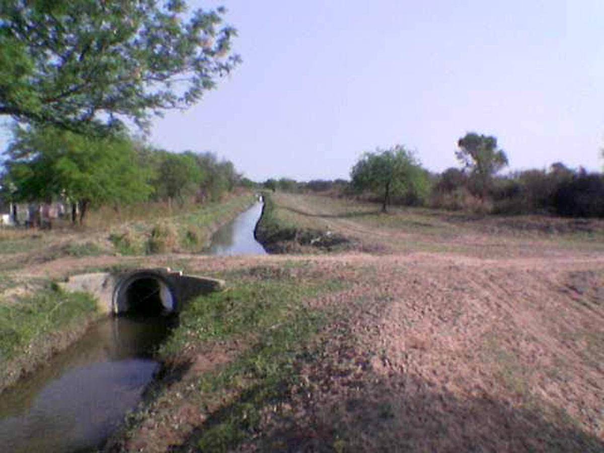 Oferta: Campo de Monte en Estación Robles. para Desarrollar