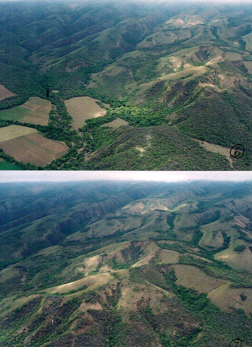 Campo Mixto – Singuil Inversión, Turismo, Desarrollos