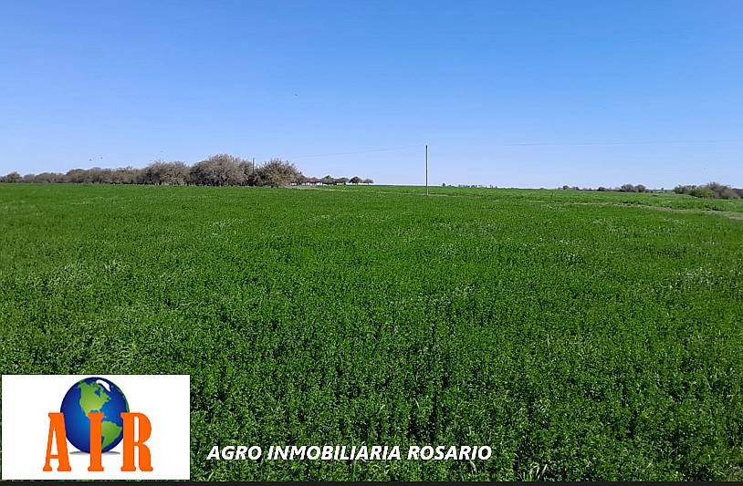 Termas de Rio Hondo , Stgo del Estero 5000 Hect Agric VTA