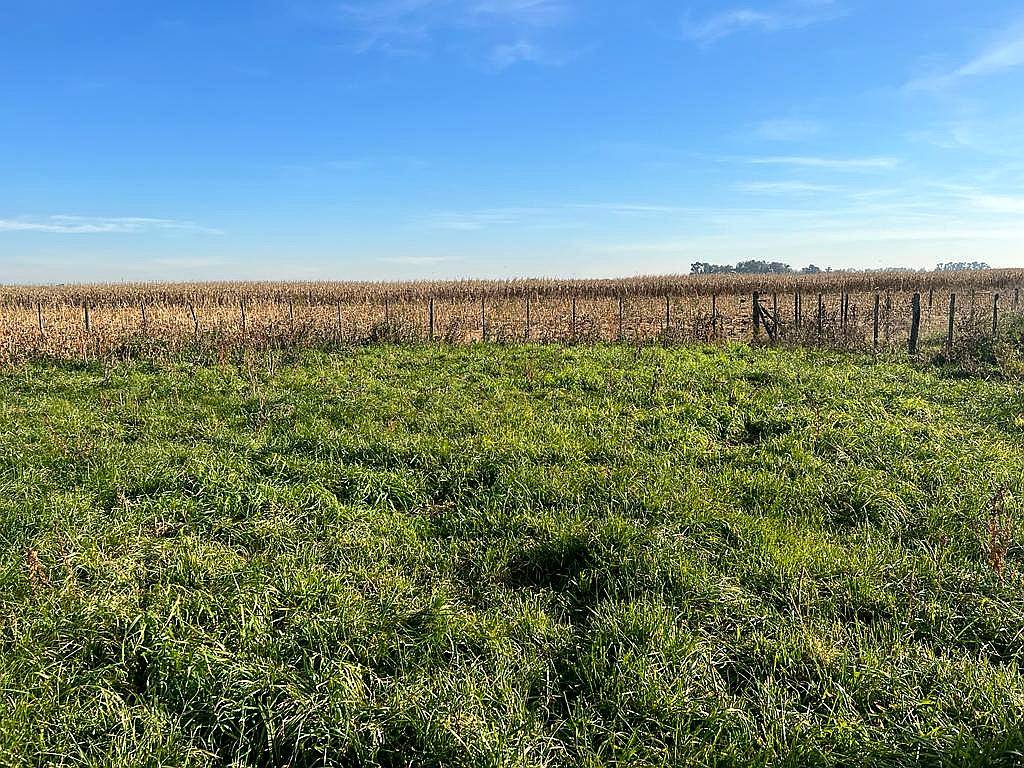 Campo Agricola Lezama 100 Ha