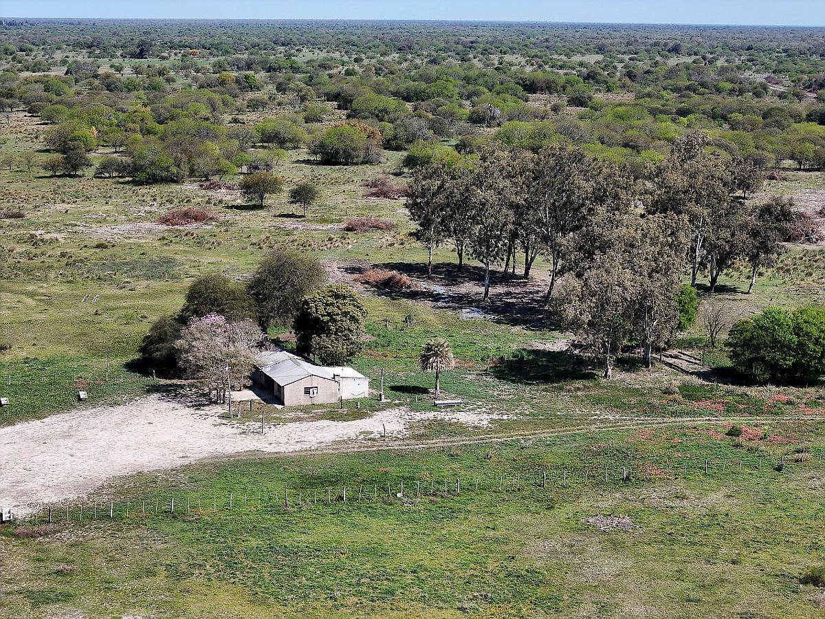 4200 Has Ganaderas los Tábanos Vera Santa FE