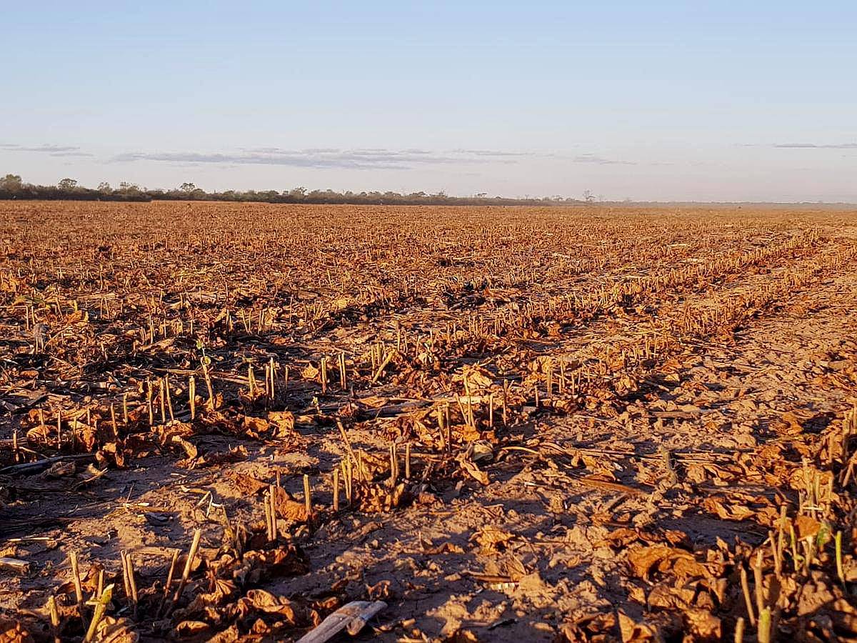 El Bobadal, Jimenez, Santiago del Estero, Argentina