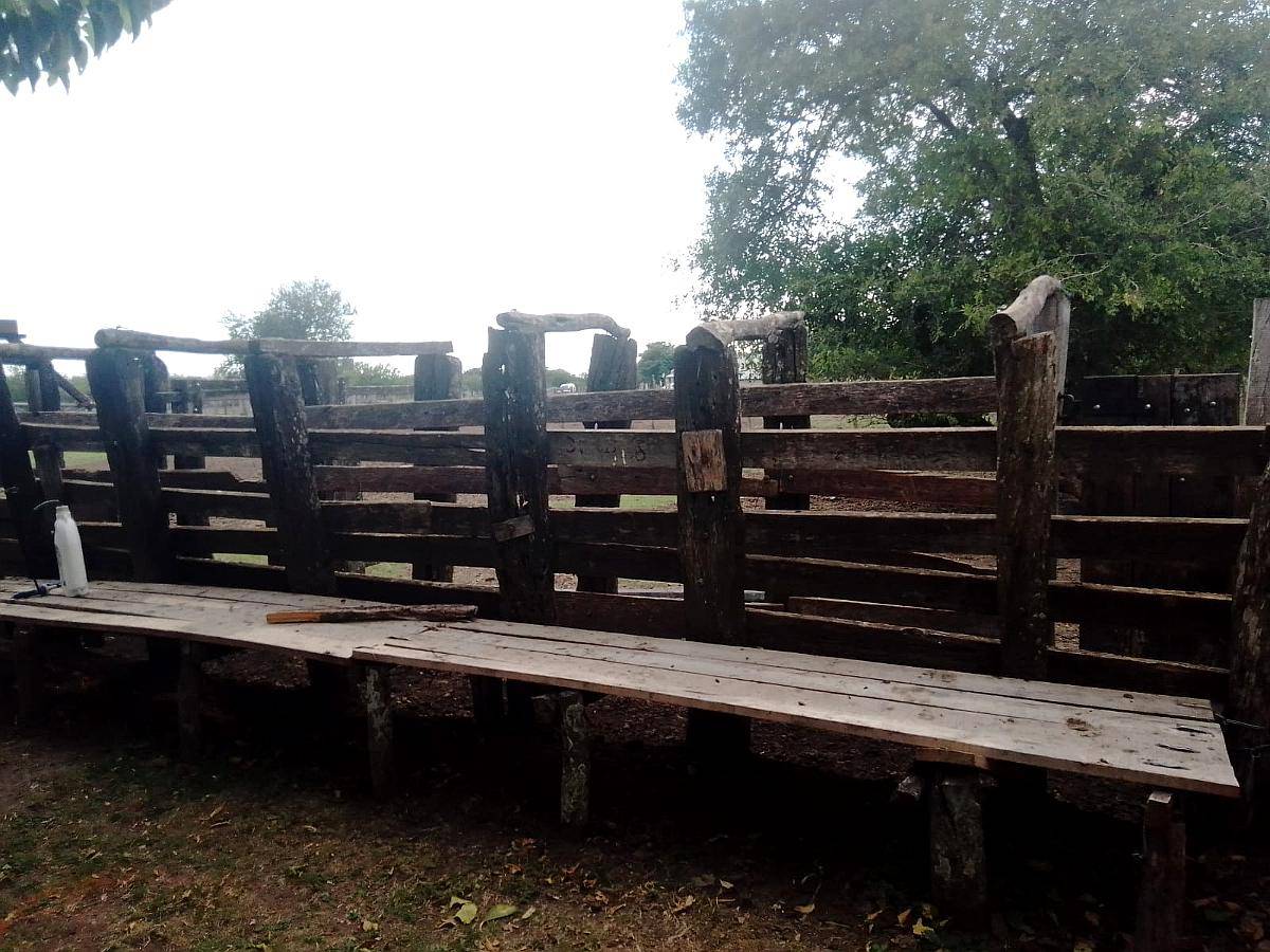 Arrendamiento Alquiler Campo Ganadero