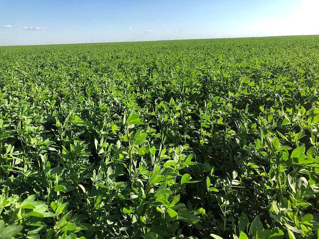 173 Has Agrícolas. Suelo Clase 2. Cuatro Bocas (santa FE)