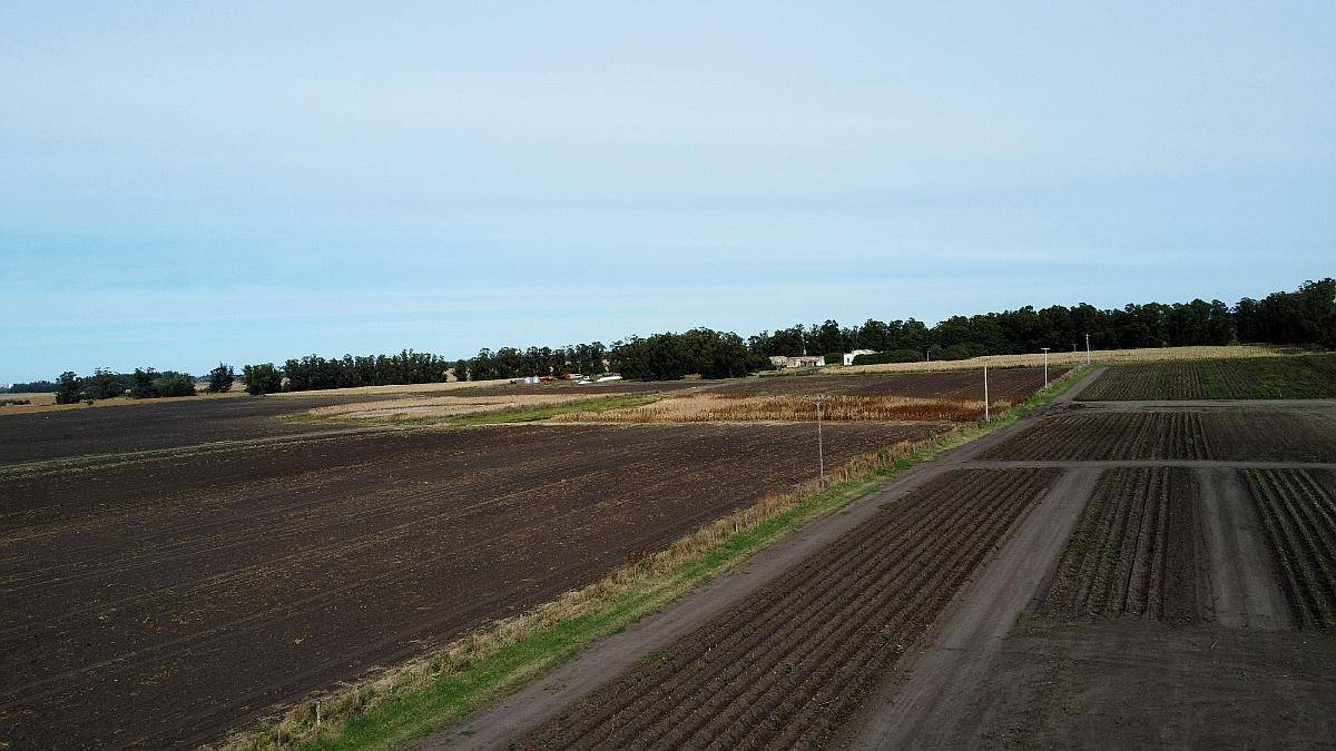 107 Has o 77 y 1/2 en Miramar - de Lujo -