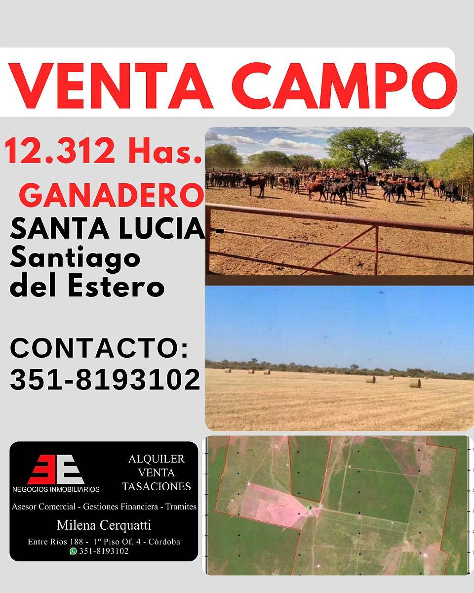 Venta Campo- Argentina. Santiago del Estero, Santa Lucía,