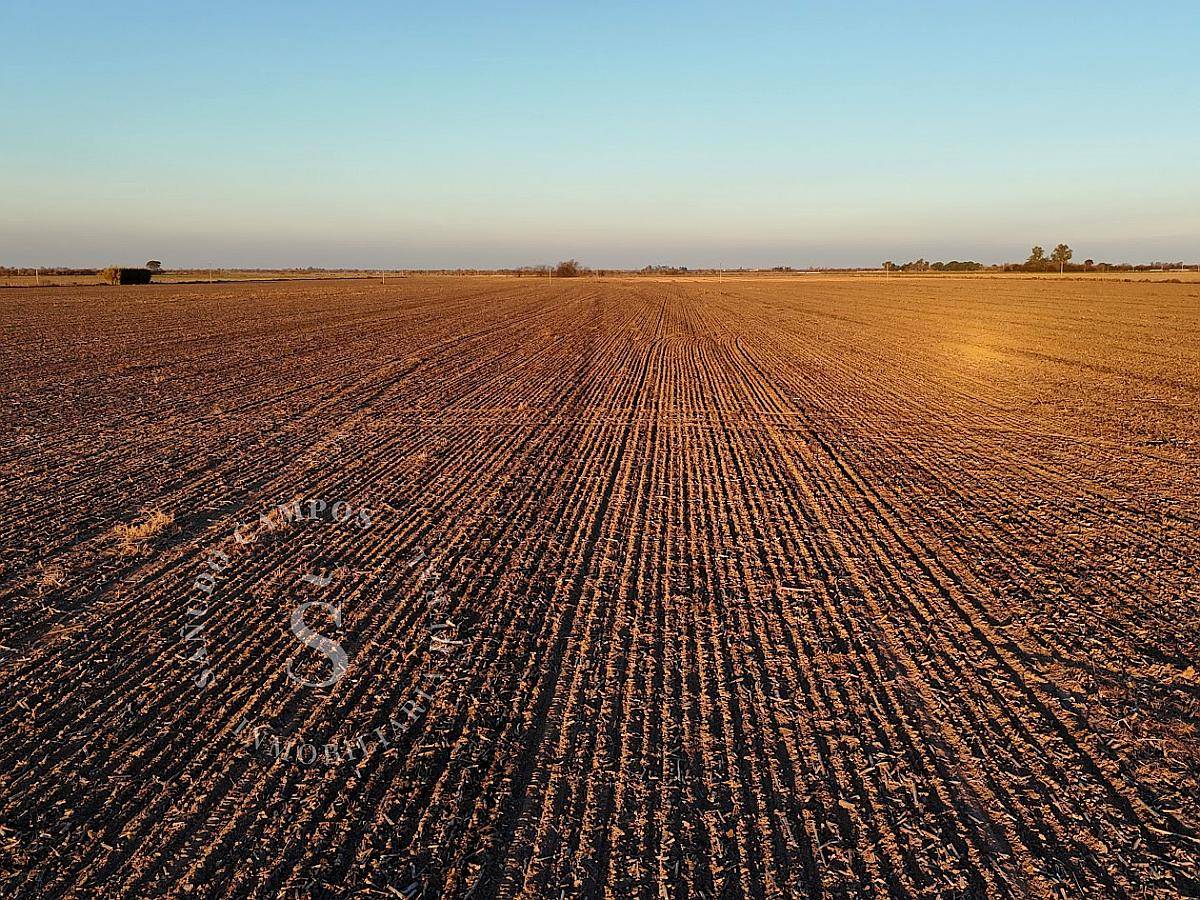 Campo Agrícola. 37 Hectáreas. Humboldt, Santa FE.
