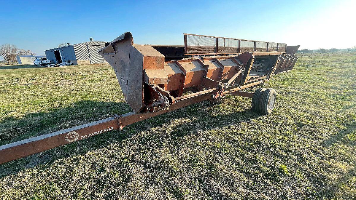 Girasolero Mainero de 10 a 70 cm