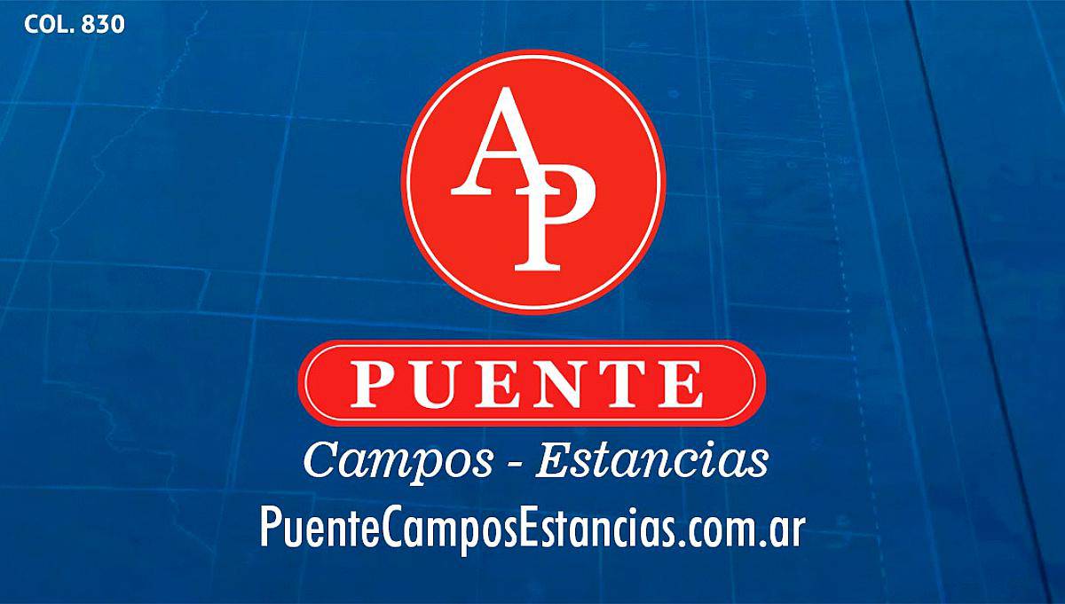 En Venta Campos de Cría - la Pampa -
