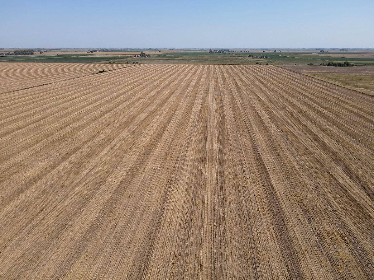 Sf0211 Venta Campo Mixto 595 Has. San Jeronimo Santa FE