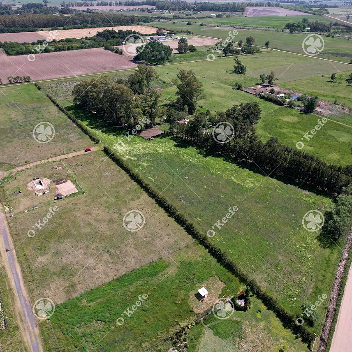 Chacra en Venta de 10 Has en Bragado con Mejoras