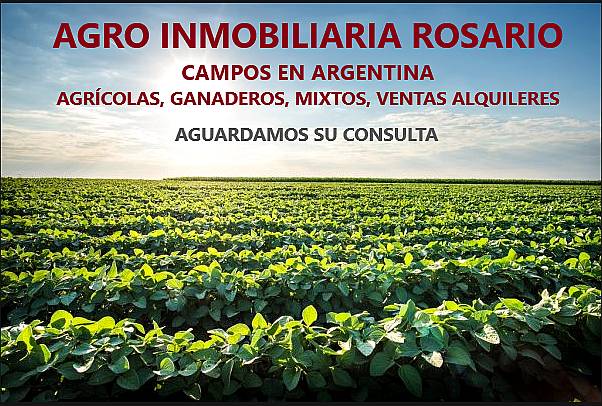 Santiago del Estero Fernandez 650 Hect Agric