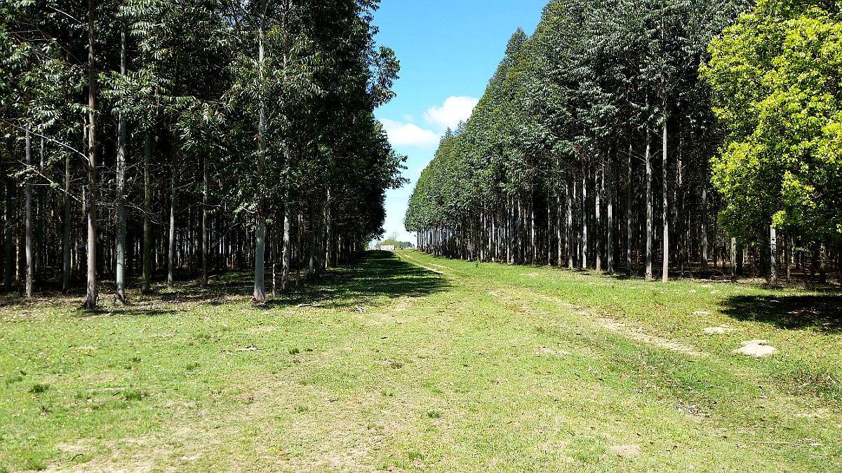 Campo Mixto en Concordia