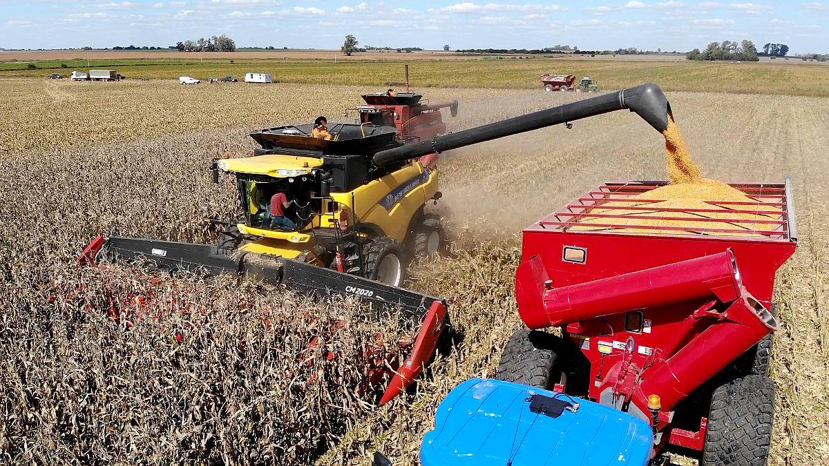 Cabezal Maicero cm 2020 de 18 Surc a 52 con Embocador, con