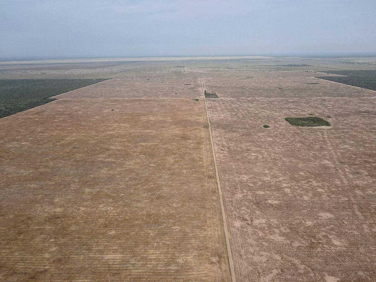 1438 Has-agricolas-depto. Aguirre (sgo del Estero)