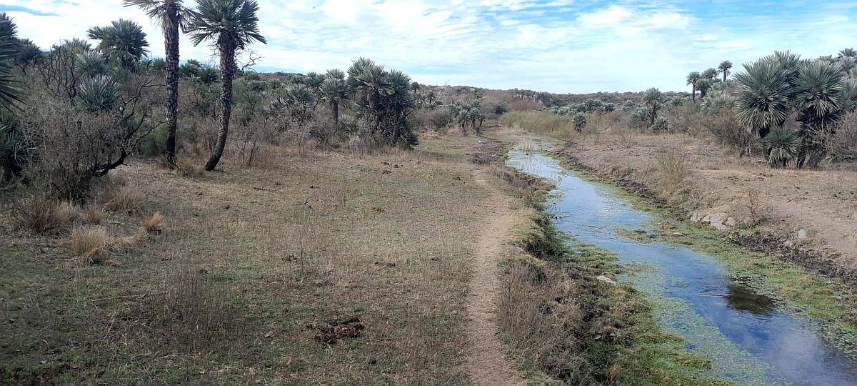 Campo de 62 Ha con Río Propio, Escritura. Caminiaga, Córdoba