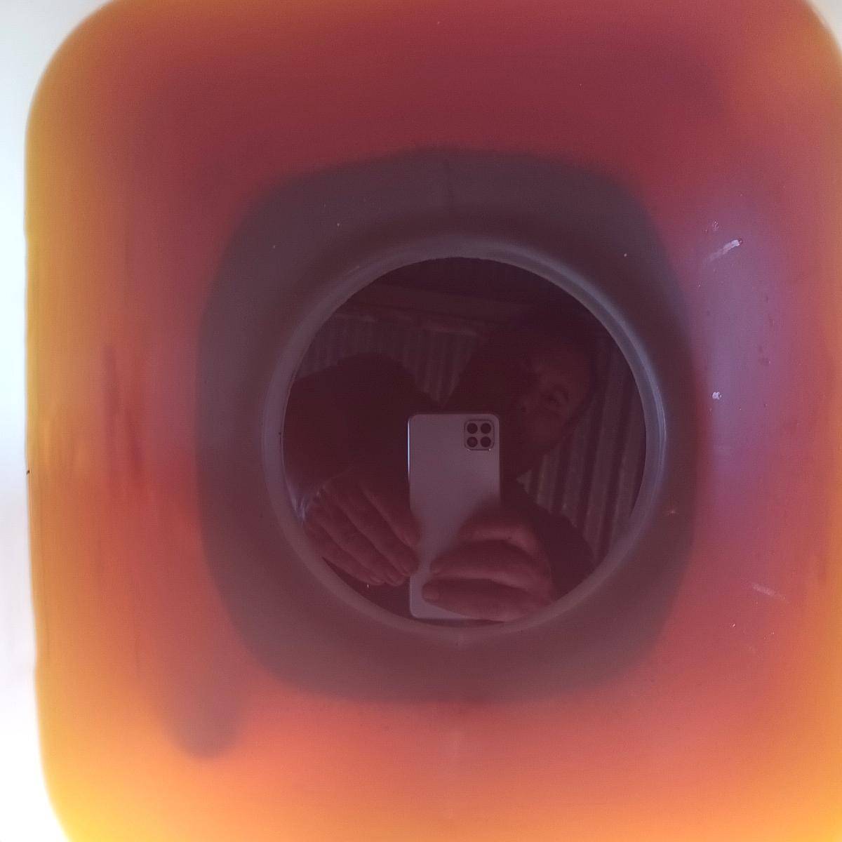 Aceite Crudo de Soja
