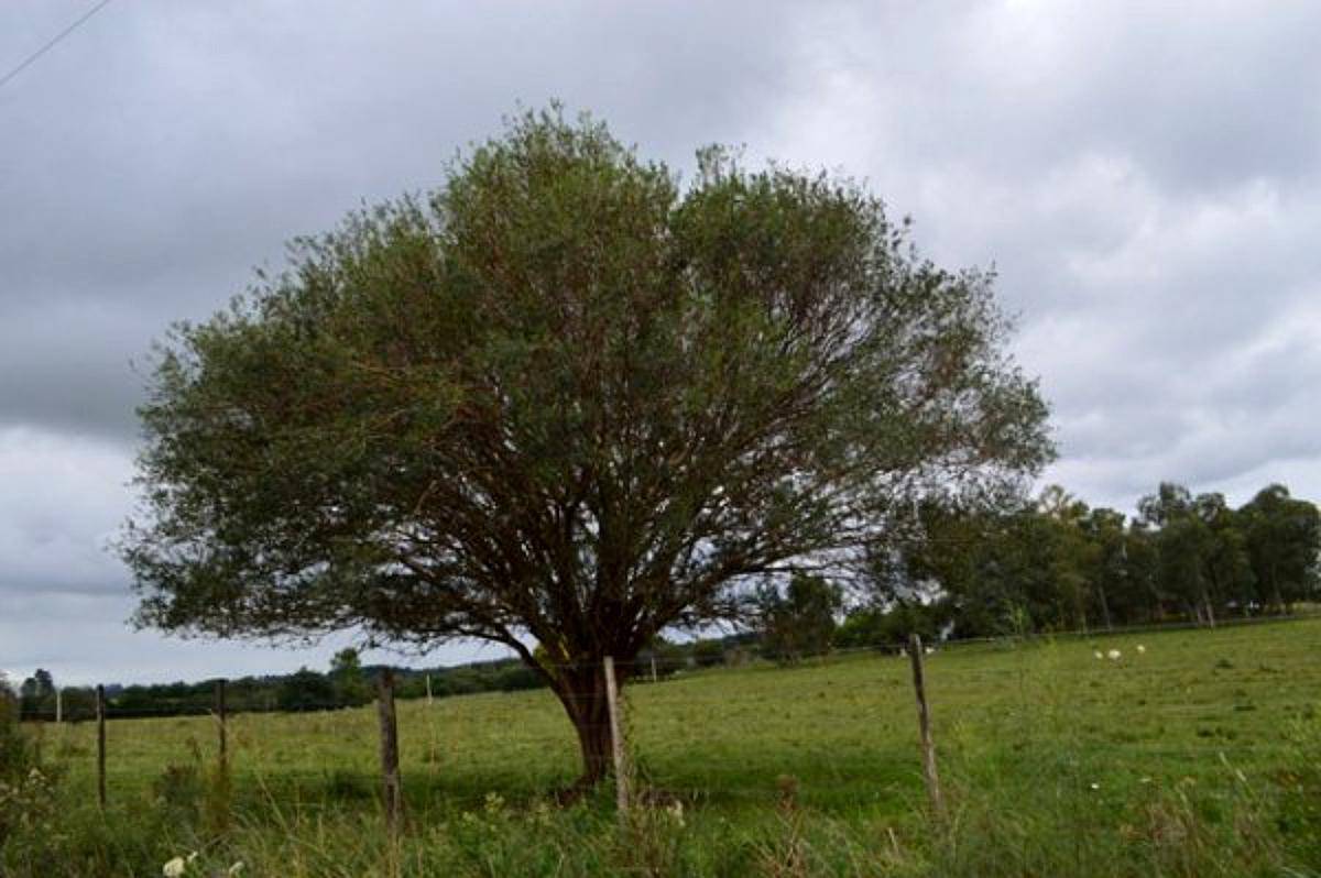 7 HA. Apt. Turismo - Desarrollo Inmobiliario