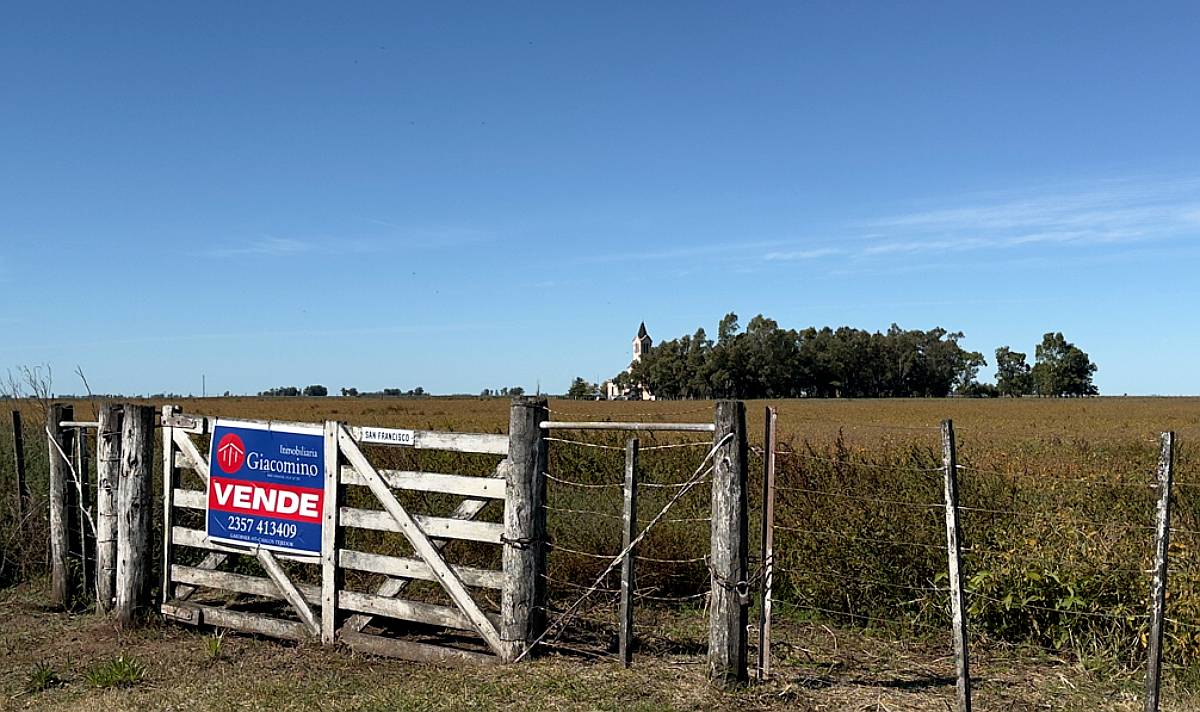 Campo Agrícola 134 Ha Carlos Tejedor Inmobiliaria Giacomino