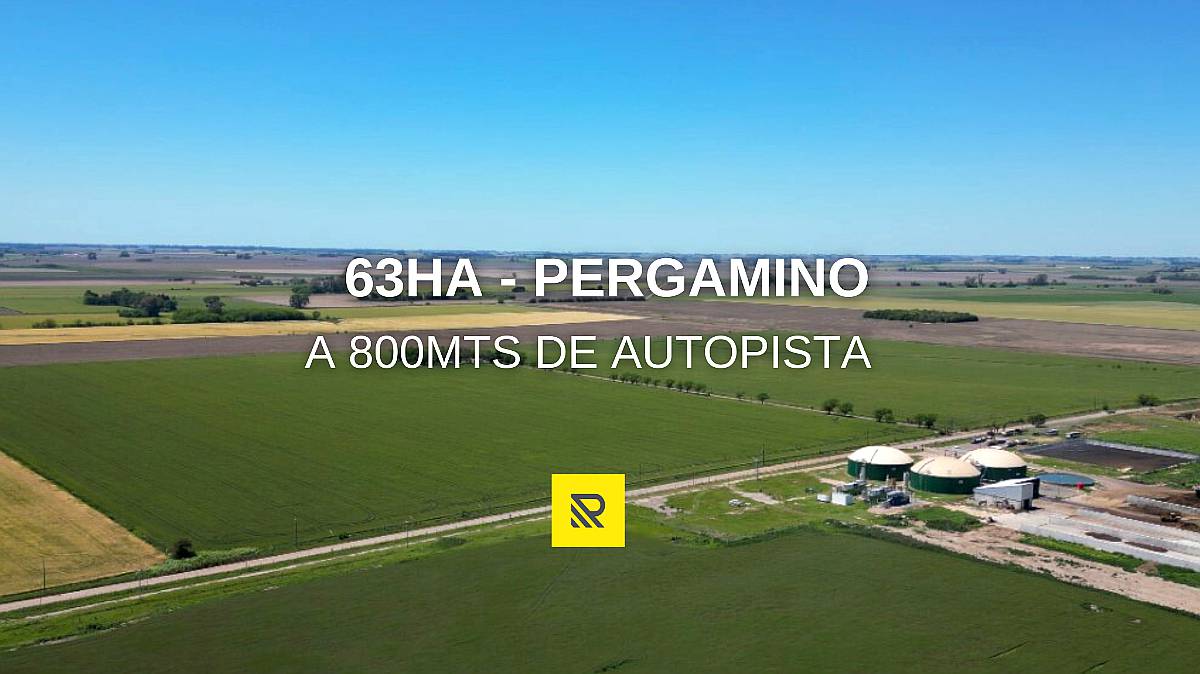 Campo en Venta. 63ha Pergamino