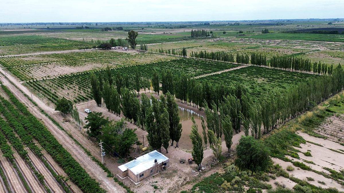 Finca 45ha Chapanay, Dos Pozos, Cultivos y Parte para Chacra