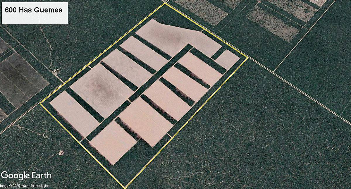 Venta. 600 Has Agricolas en Guemes (chaco)
