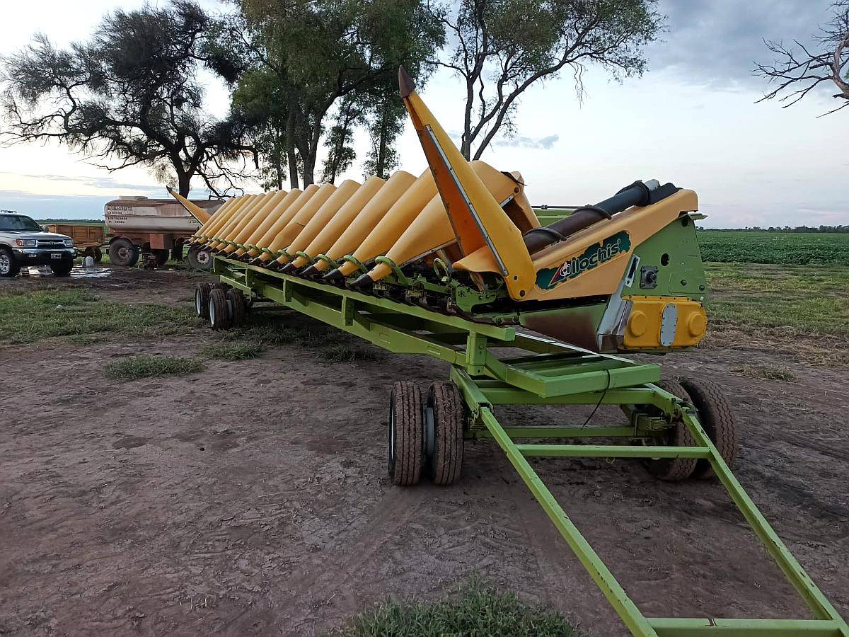 Allochis 16 a 52 año 2019