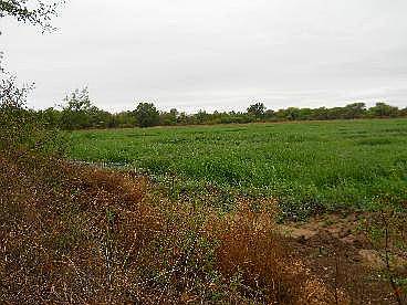 Cordoba Campo con Chacra Mixto