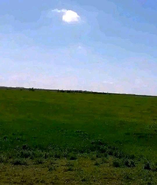 208 Hectáreas Mixtas, Viamonte - CBA