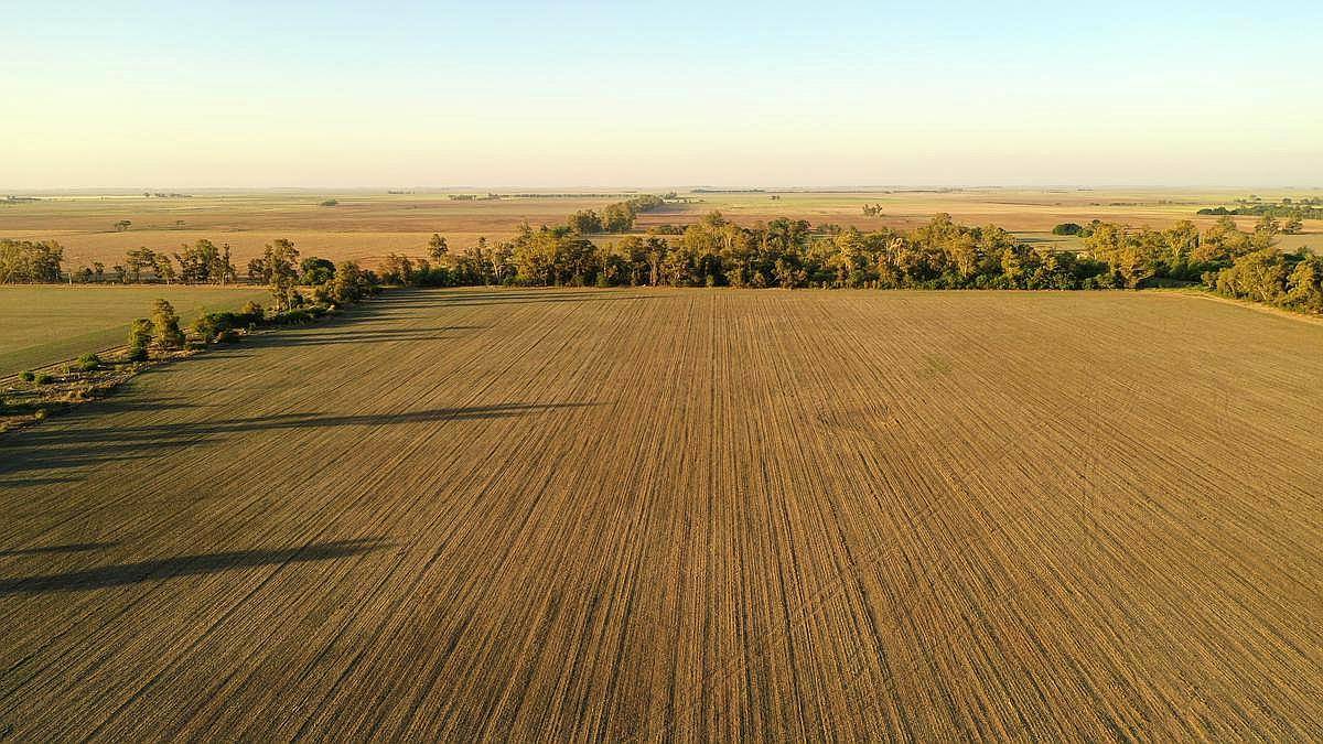 Vendo 400 Has Agrícolas