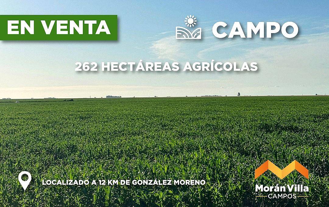 262 Ha a 12 km de González Moreno, Provincia de Buenos Aires