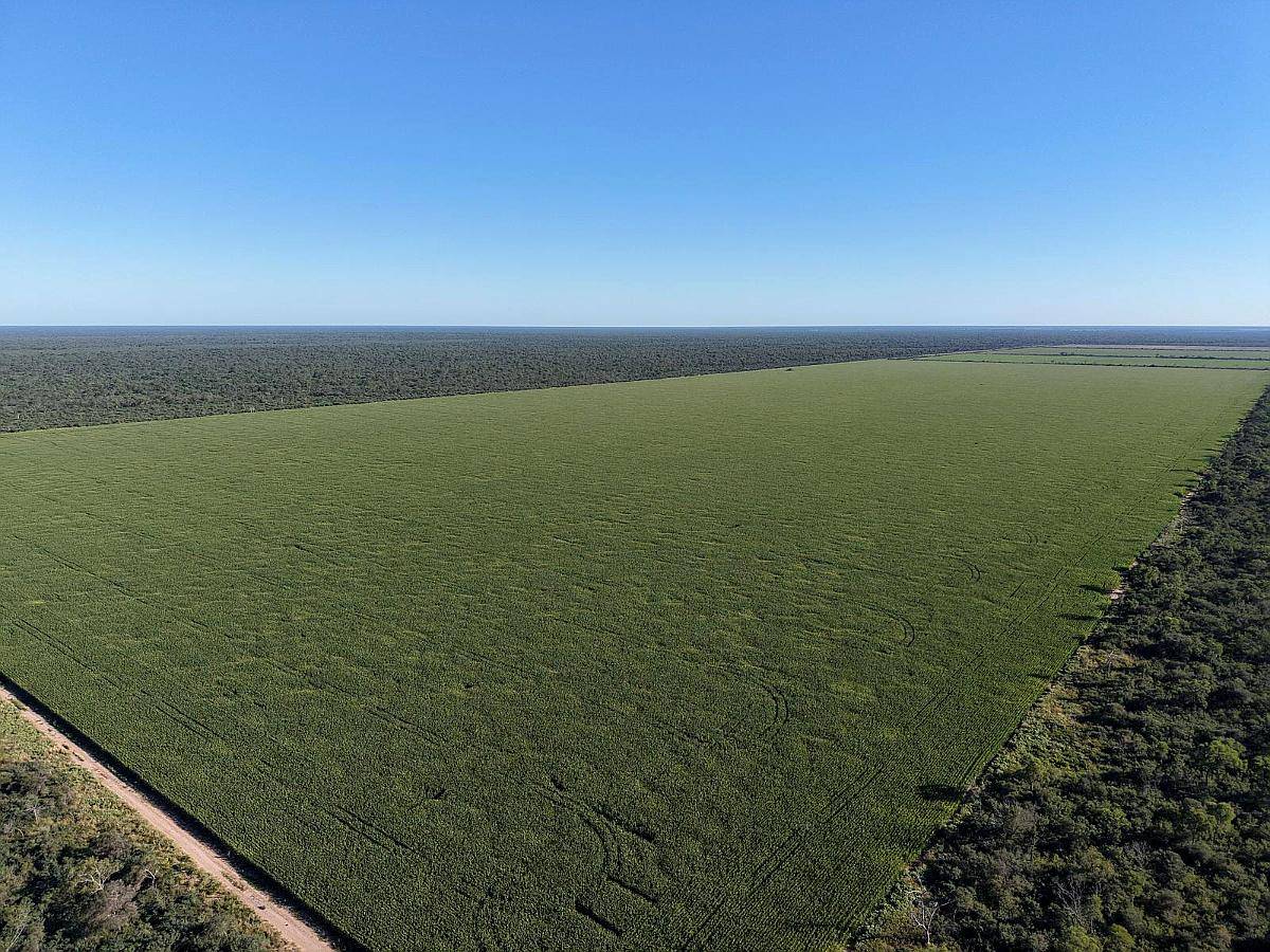 Las Tinajas, Moreno, Santiago del Estero - 2.123 Ha