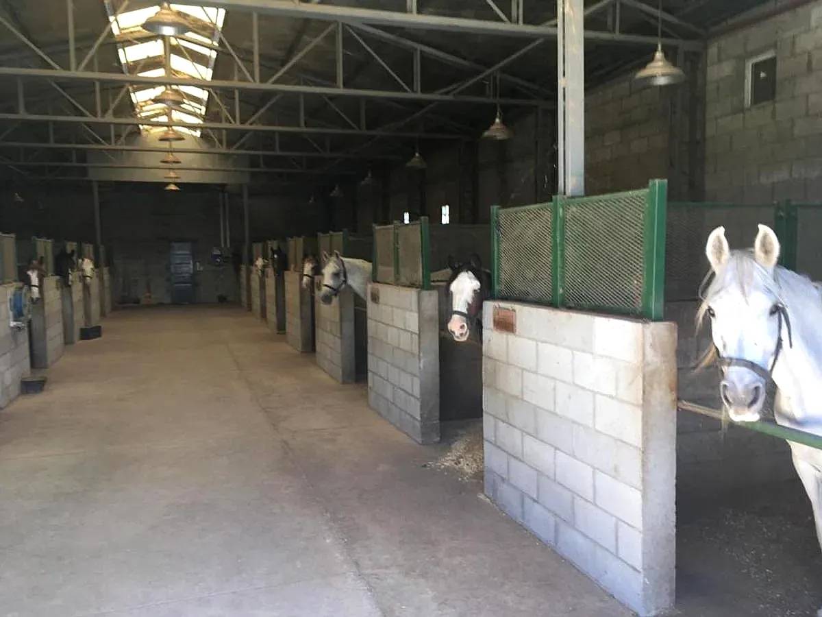 Matrimonio para Cuidado de Predio y Ayuda Domestica