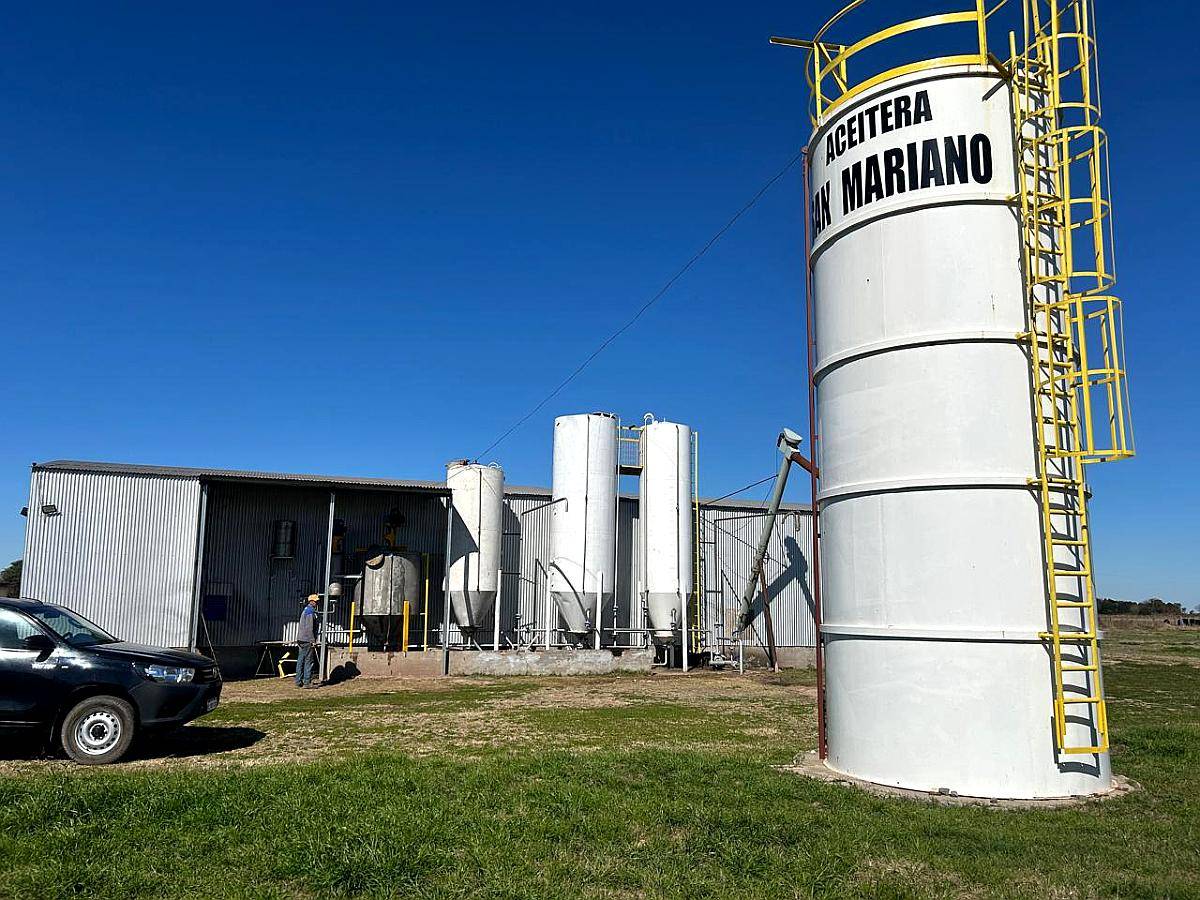 Planta para Aceitera (soja o Girasol)