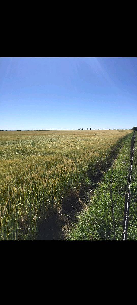 Compro 100/150 Has Mixtas Coronel Pringles