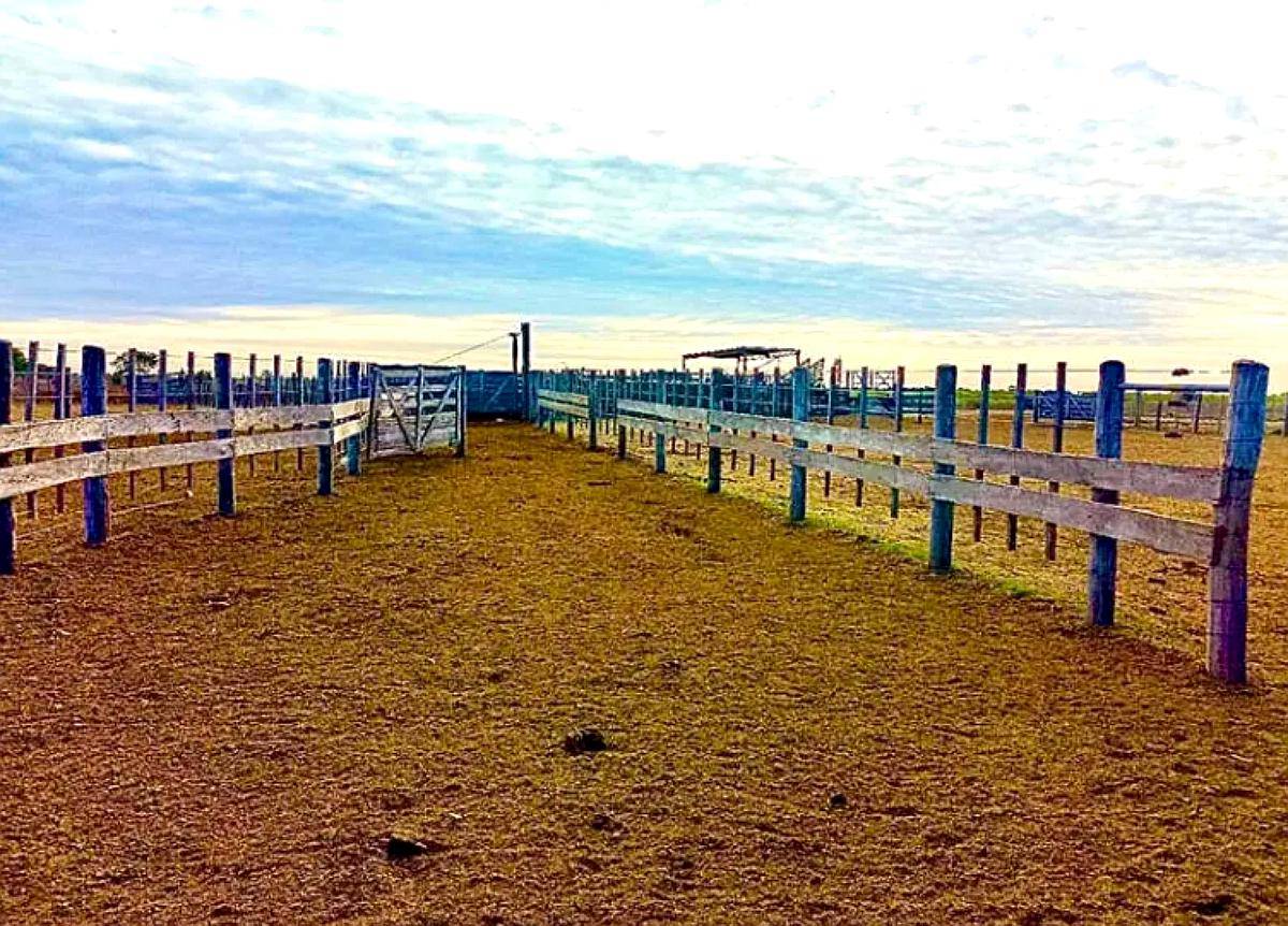 Campo Mixto de 3000 Hectáreas