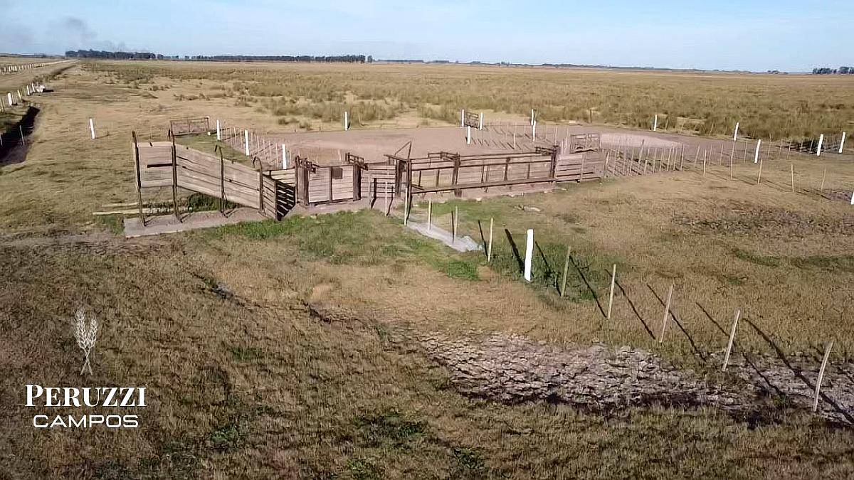 Alquilo 1.482 Ganaderas en Departamento San Martin.