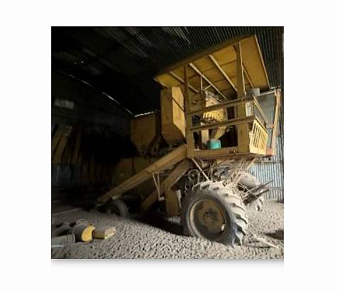 Cosechadora Danielle con Motor Perkins