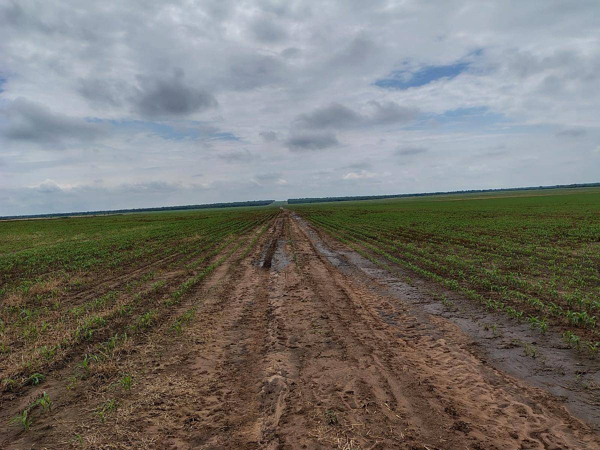 Excelente Campo Agrícola en Santiago del Estero