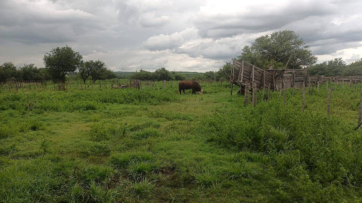 Vendo Estancia a Tranquera Cerrada