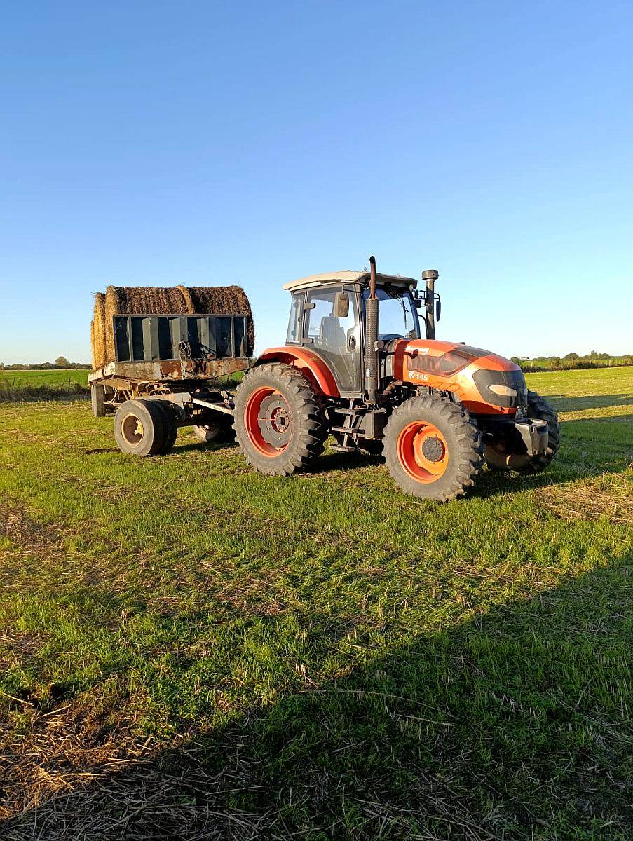 Tractor Hanomag Tr145, año 2016, 6.500hs en muy Buen Estado