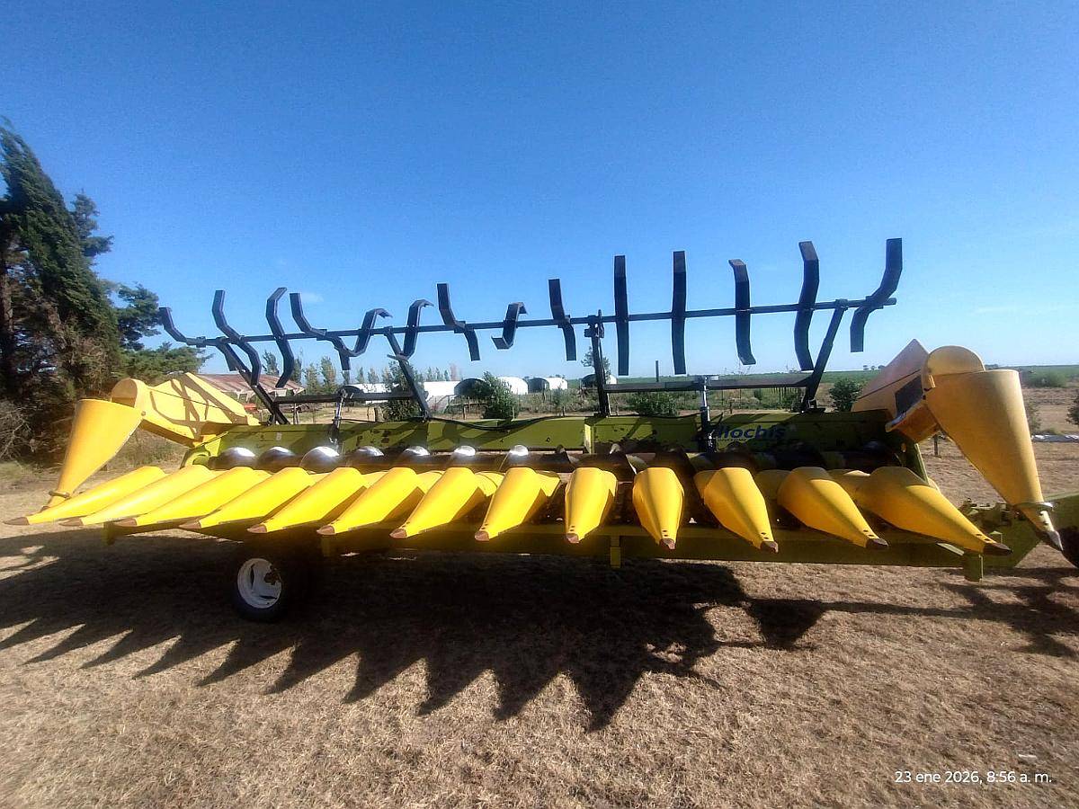 Maicero Allochis 14 a 52 cm con Molinete año 2014