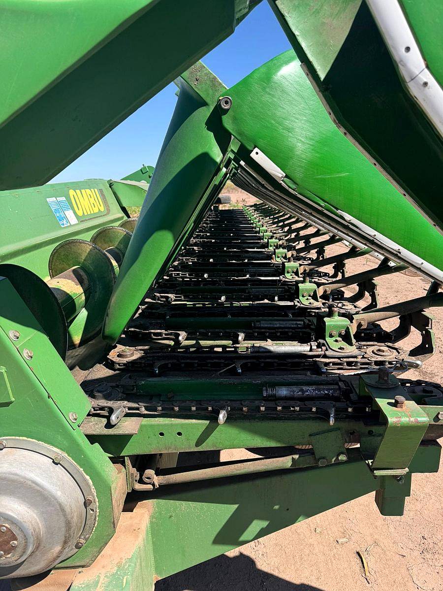 Maizero Ombú 16 a 52 año 2017