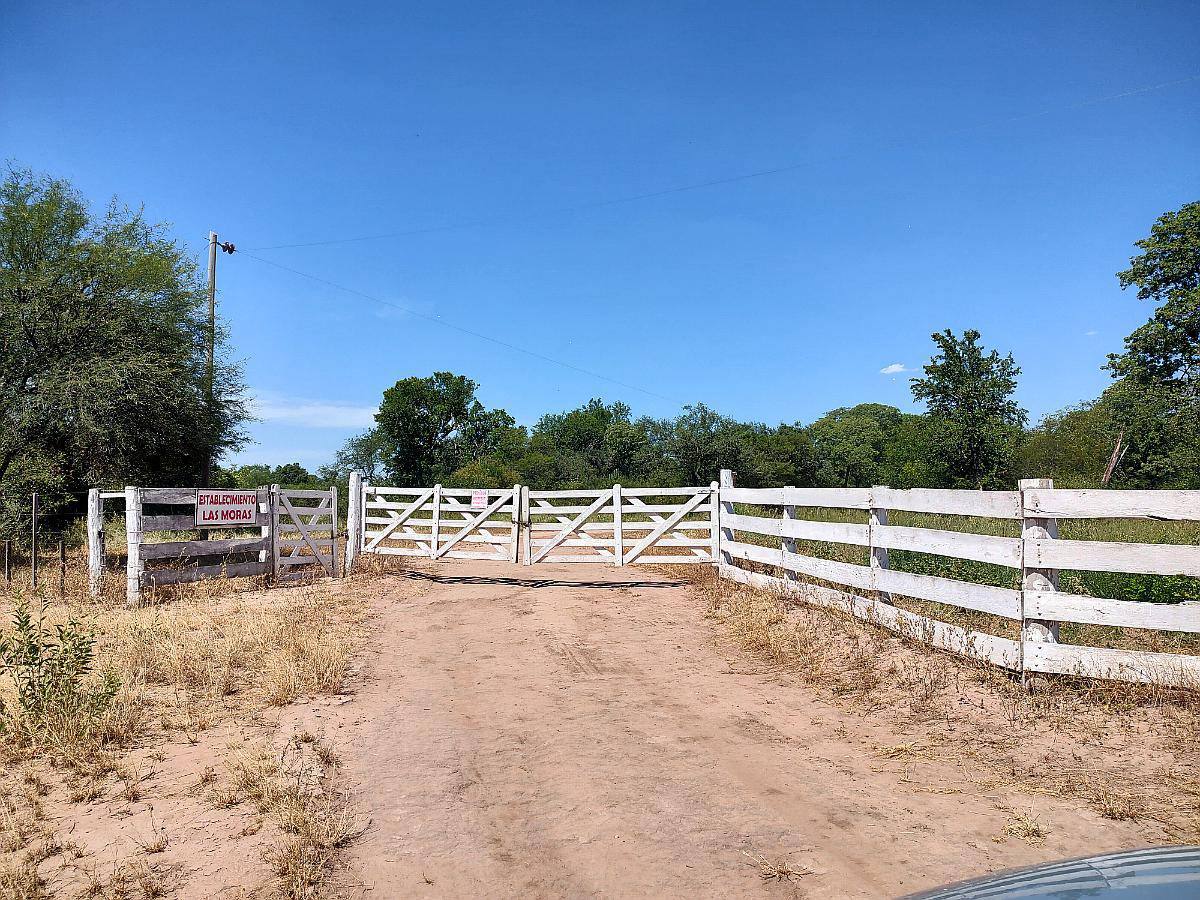 Campo Ganadero en Juan Jose Castelli