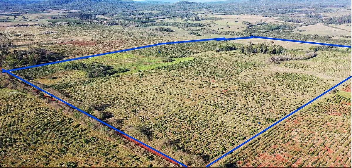 Se Vende Chacra de 48 Ha en Apostoles Misiones. 28 Ha con YE