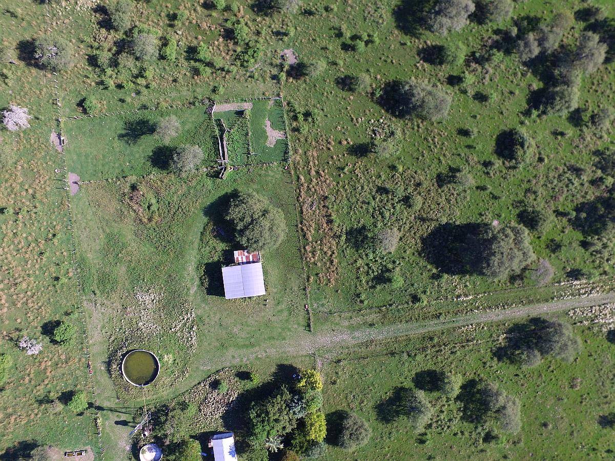 Campo Ganadero en Venta - 118 Has- Bovril, Dpto la PAZ