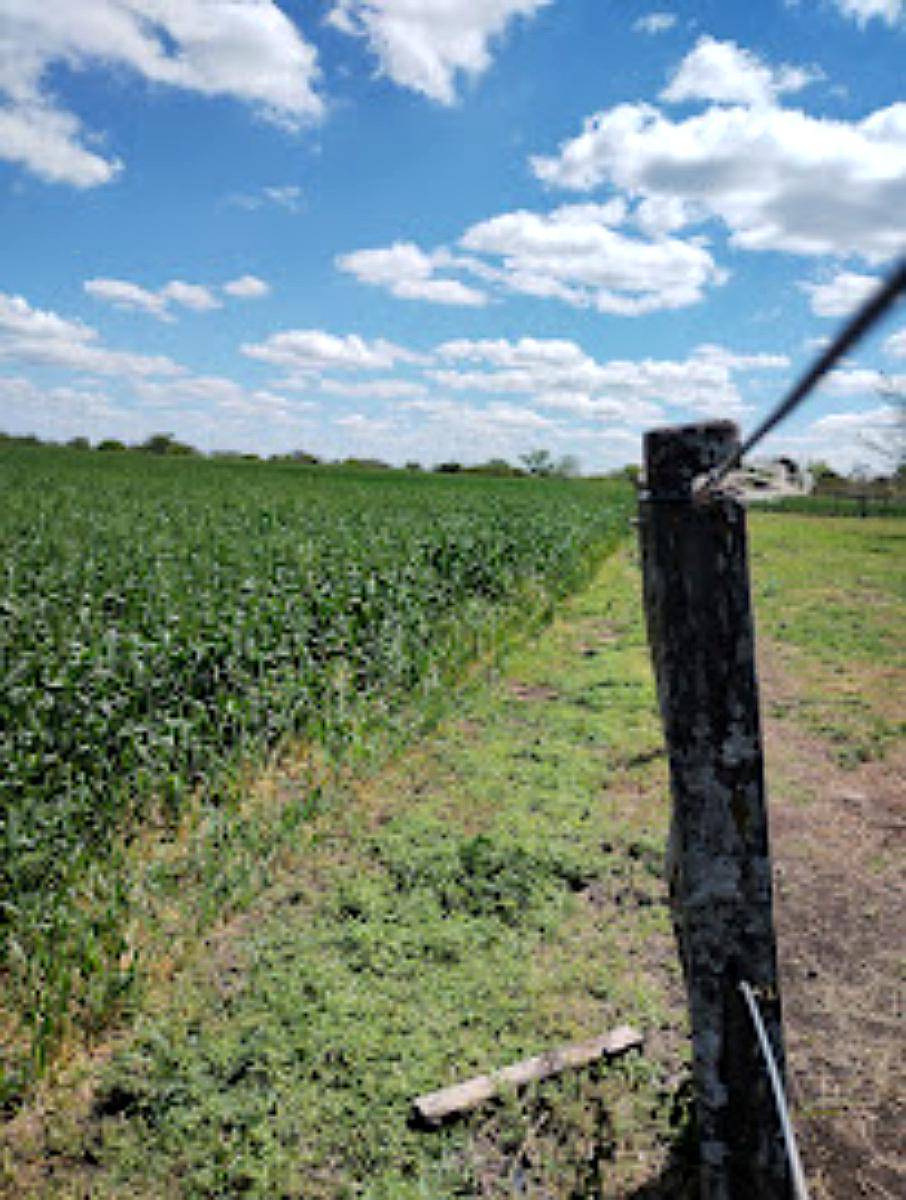 Se Vende Campo en Zona María Grande 2da, Entre Ríos - 100 Ha