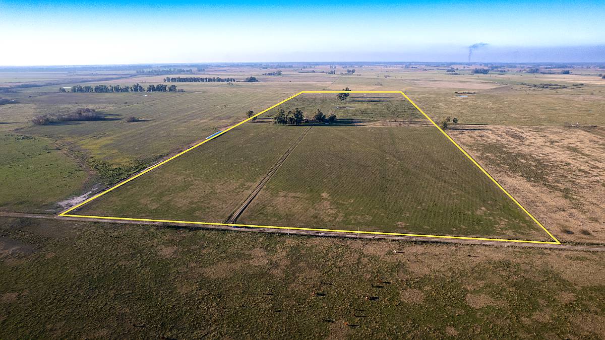 Campo en Venta en Marcos PAZ 48ha